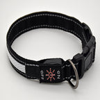Two-Tone Reflective Mesh Collar – Waterproof Night Safety for Dogs