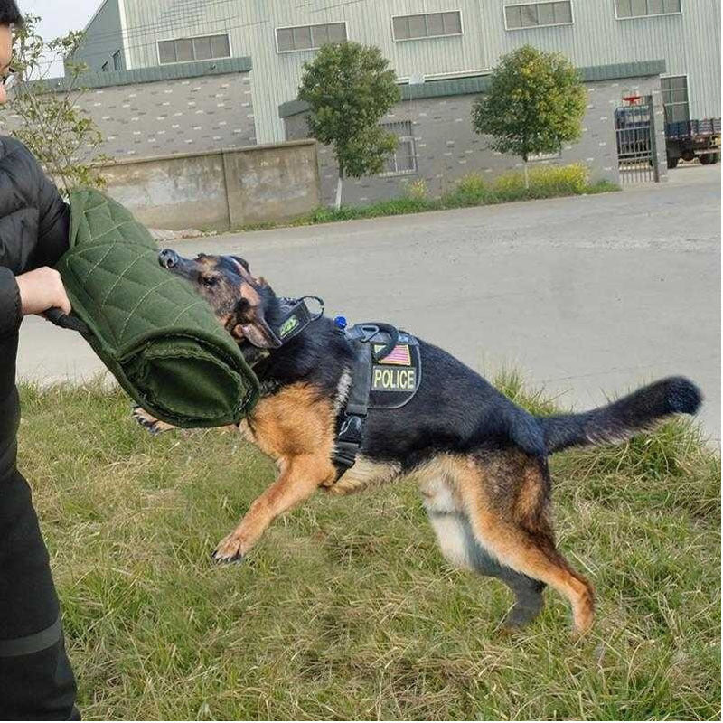 Heavy-Duty Bite Training Sleeve – Safe Protection for Trainers & Pups
