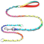 Rainbow Metal Dog Leash – “Ulysses” Style for Small & Medium Pups