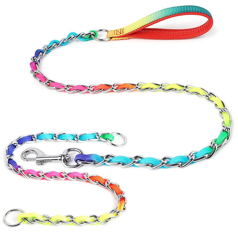Rainbow Metal Dog Leash – “Ulysses” Style for Small & Medium Pups