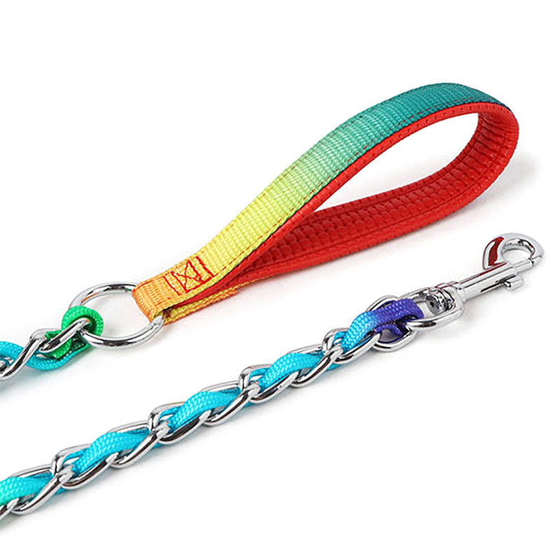 Rainbow Metal Dog Leash – “Ulysses” Style for Small & Medium Pups