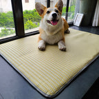Cool Ice Silk Summer Dog Mat – Anti-Bite, Non-Stick Hair Pet Mattress