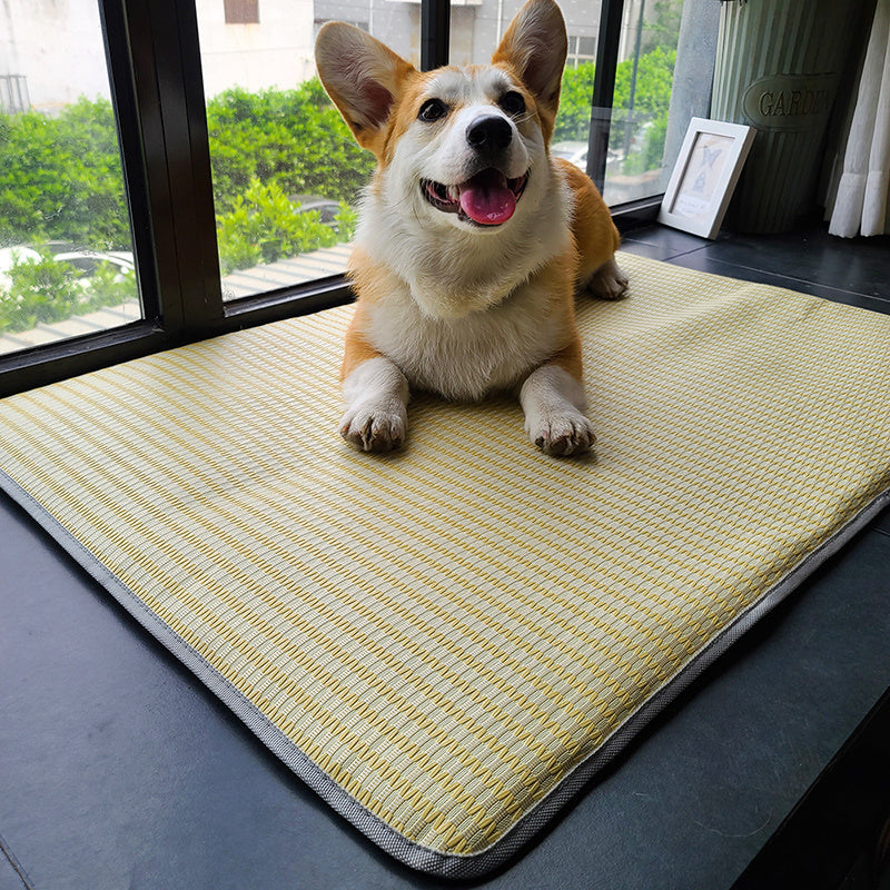 Cool Ice Silk Summer Dog Mat – Anti-Bite, Non-Stick Hair Pet Mattress