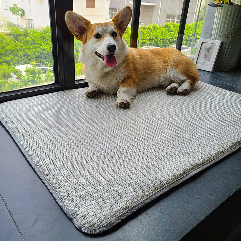 Cool Ice Silk Summer Dog Mat – Anti-Bite, Non-Stick Hair Pet Mattress