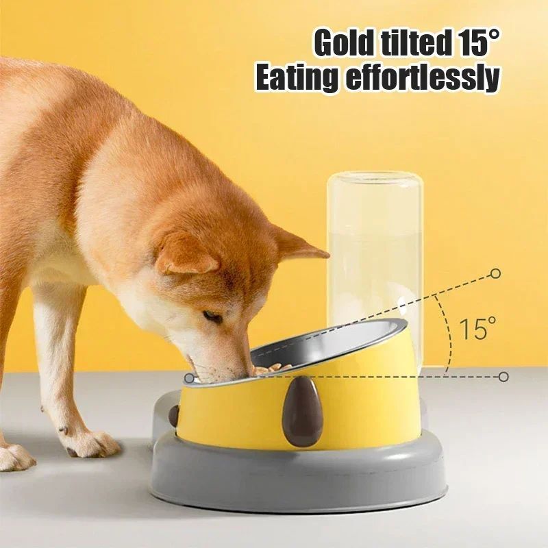 Tilted Comfort Pet Feeder + Bottle Set – Gentle Neck Design for Cats & Dogs