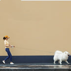 Automatic Retractable Pet Leash | Durable Nylon Rope | Comfortable Handle | 3m Length | Suitable for Small to Medium Dogs