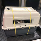 Airline-Ready Pet Travel Carrier – Safe, Portable Kennel for Dogs & Cats