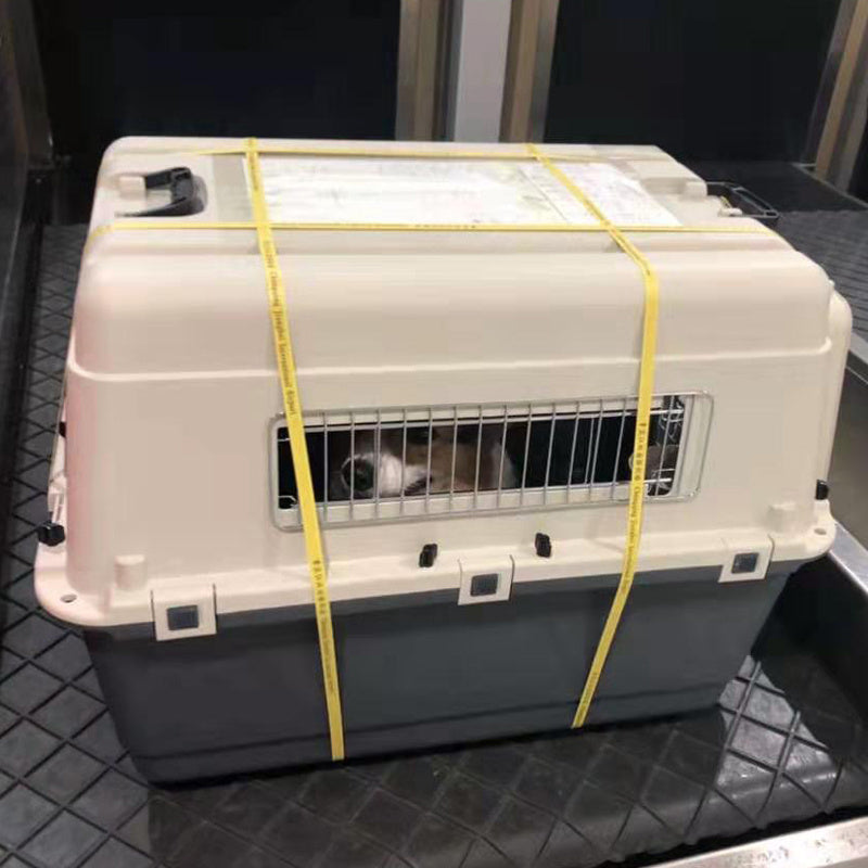 Airline-Ready Pet Travel Carrier – Safe, Portable Kennel for Dogs & Cats