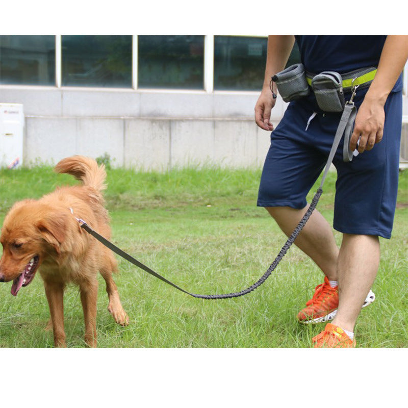 Hands-Free Adjustable Dog Leash – Freedom to Move & Explore