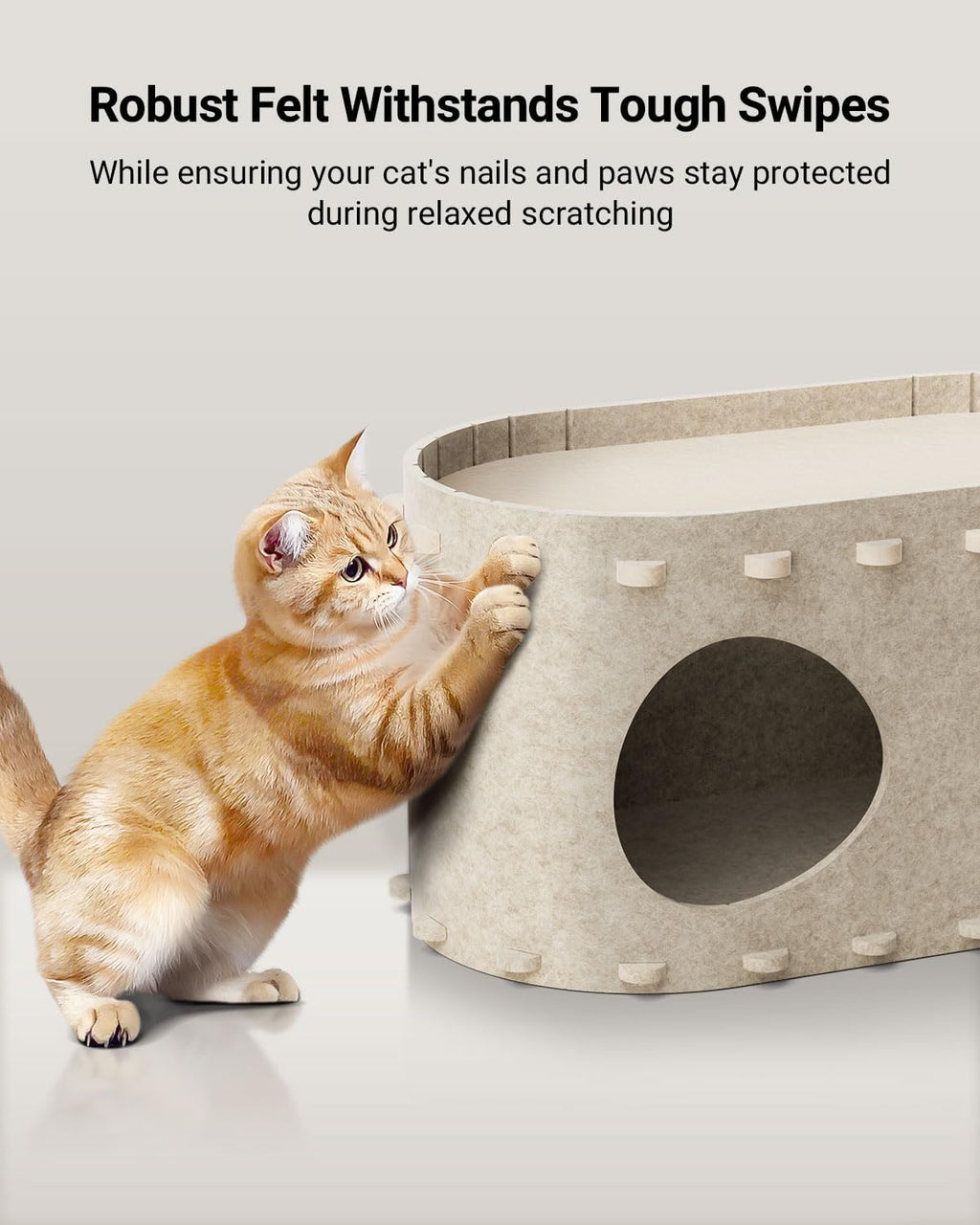 Foldable Enclosed Cat House Bed Cave – Scratch-Resistant Indoor Cat Tunnel