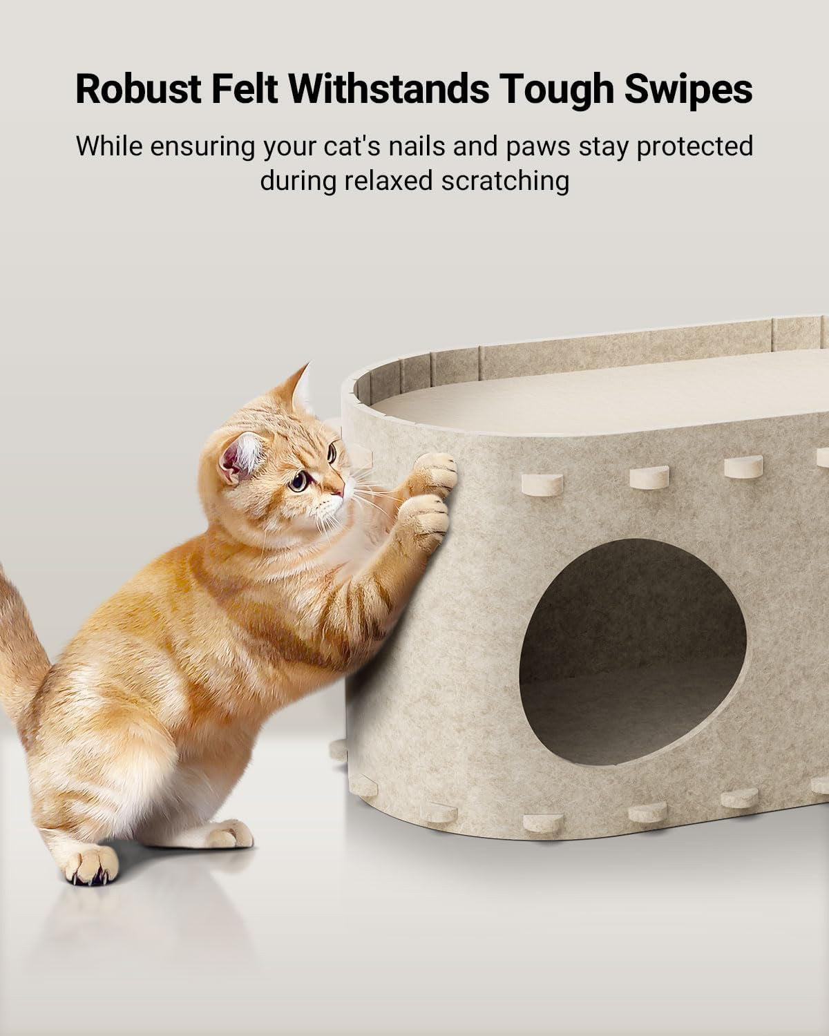 Foldable Enclosed Cat House Bed Cave – Scratch-Resistant Indoor Cat Tunnel
