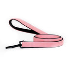 Pull-Resistant Leather Dog Leash – Tough & Stylish Control