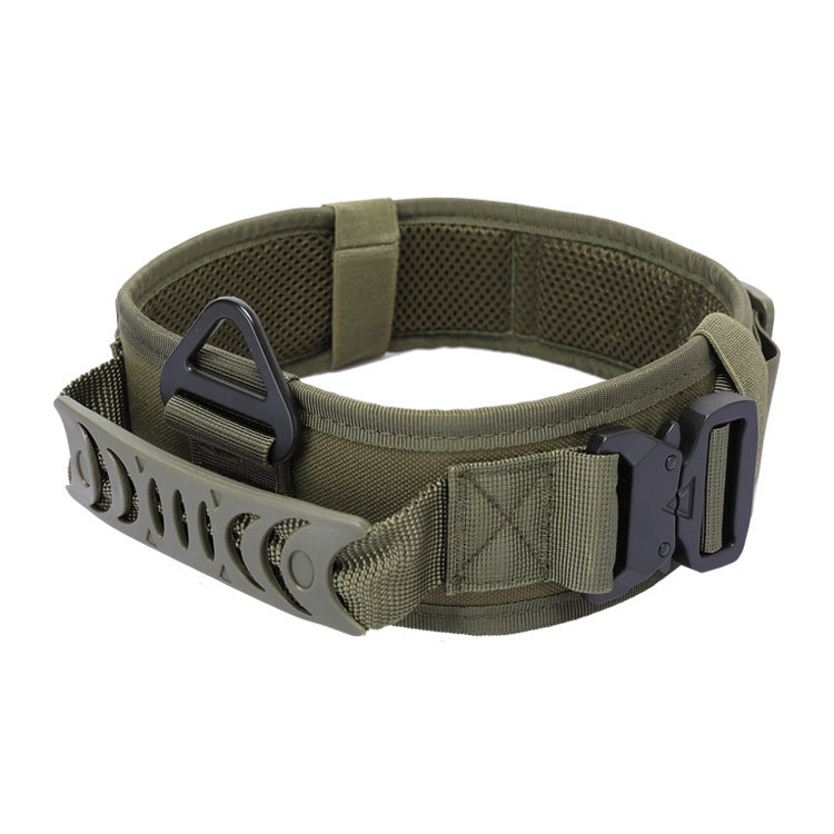 Quick-Release Metal Buckle Collar – Easy & Secure Walks