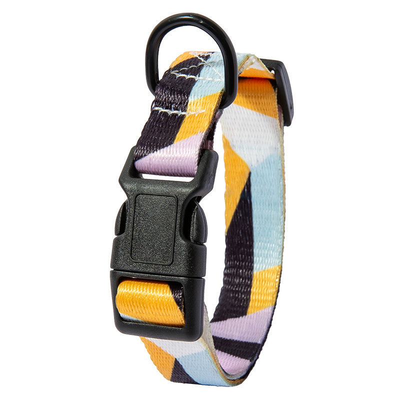 Comfort Fit Dog Collar & Leash Set – Stylish & Secure