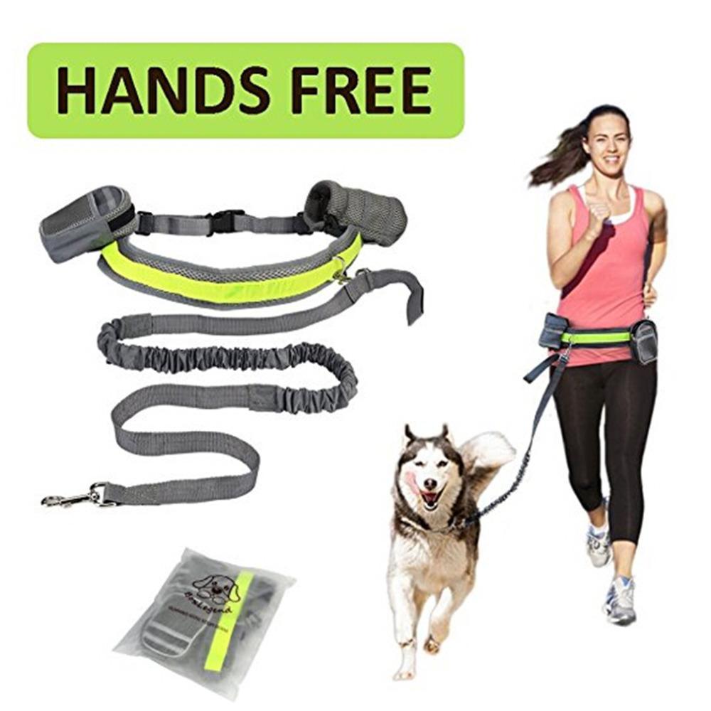 Hands-Free Adjustable Dog Leash – Freedom to Move & Explore
