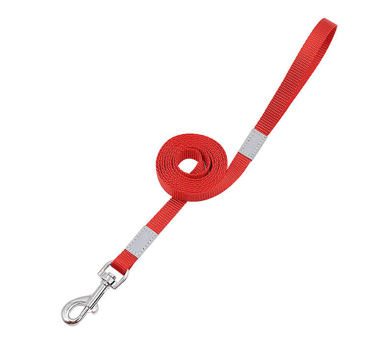Color-Pop Reflective Dog Leash – Bright, Safe, Stylish
