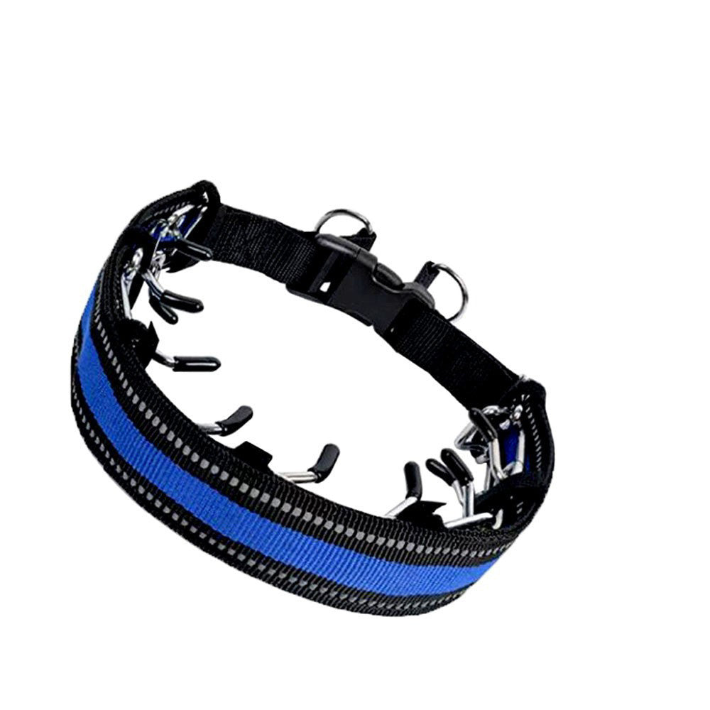 Heavy-Duty Spike Training Chain Collar — Strong Control & Bold Style
