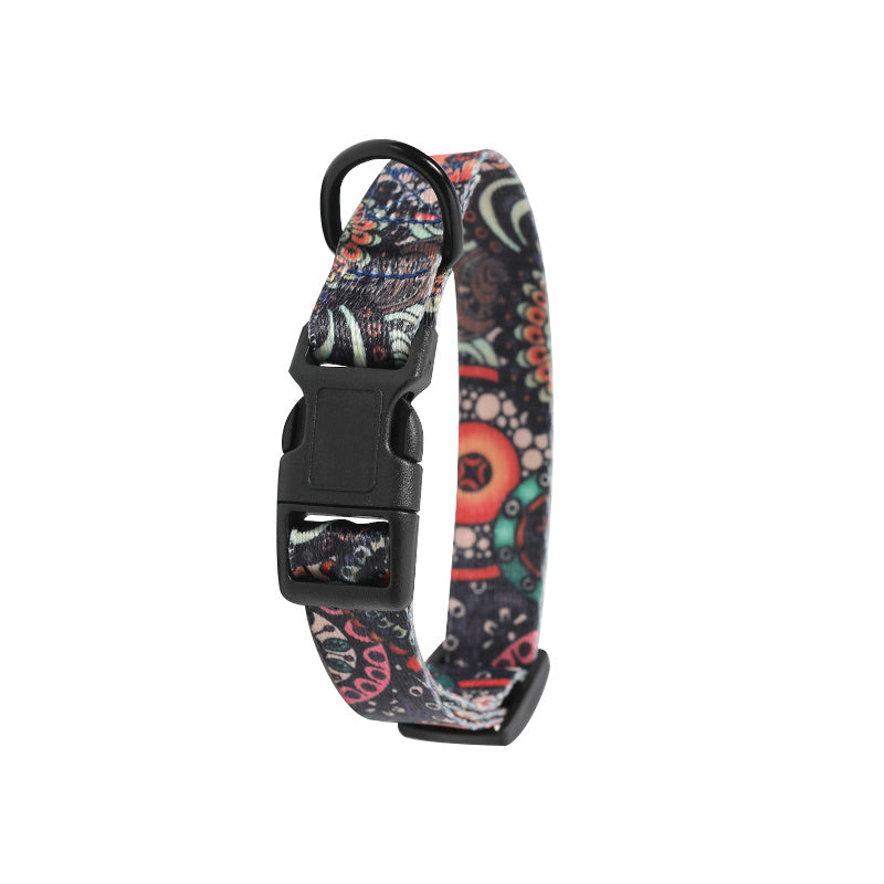 Comfort Fit Dog Collar & Leash Set – Stylish & Secure