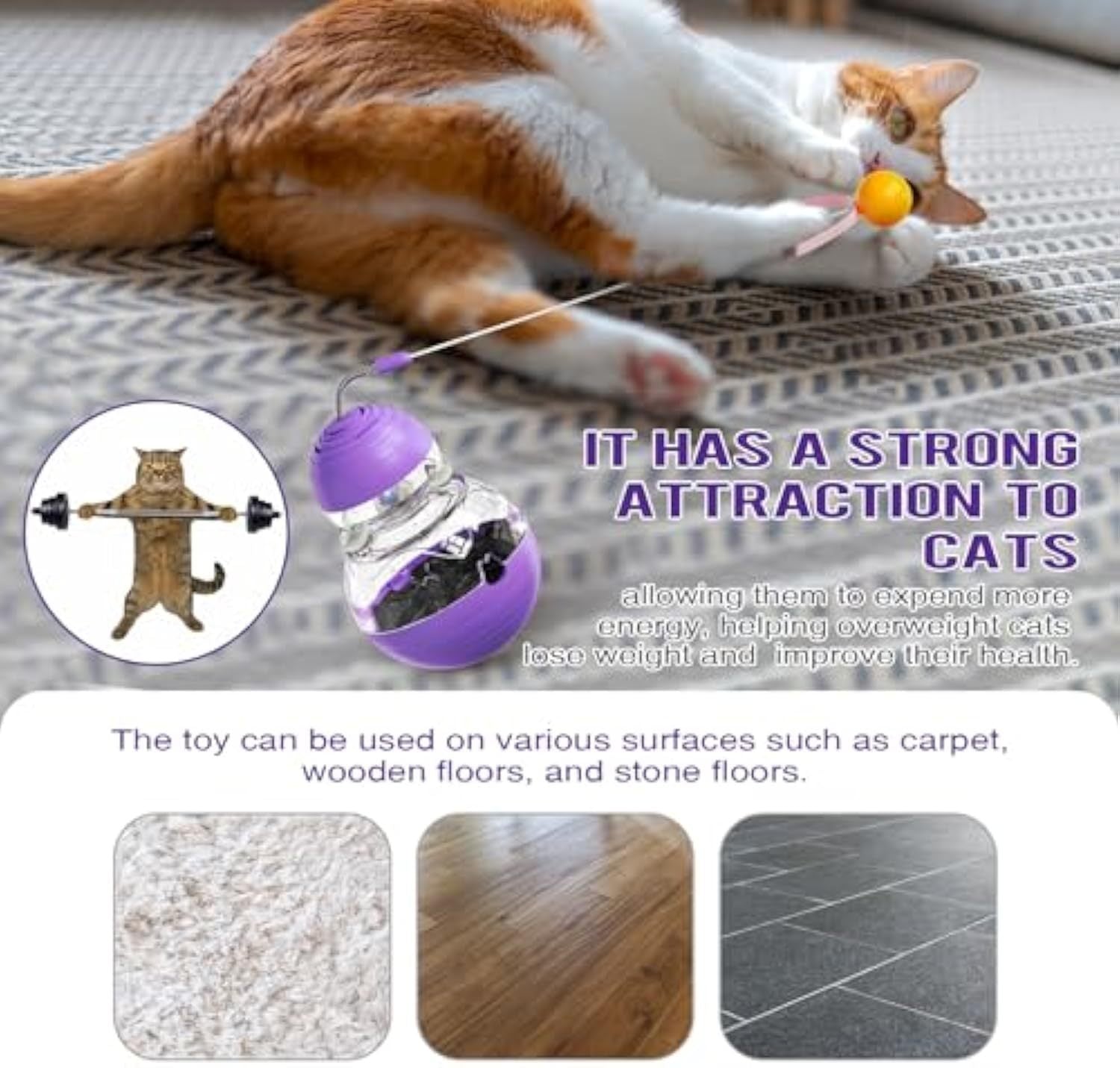 Cat Interactive Toy