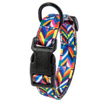 Comfort Fit Dog Collar & Leash Set – Stylish & Secure