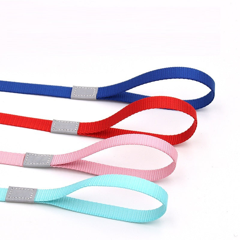 Color-Pop Reflective Dog Leash – Bright, Safe, Stylish