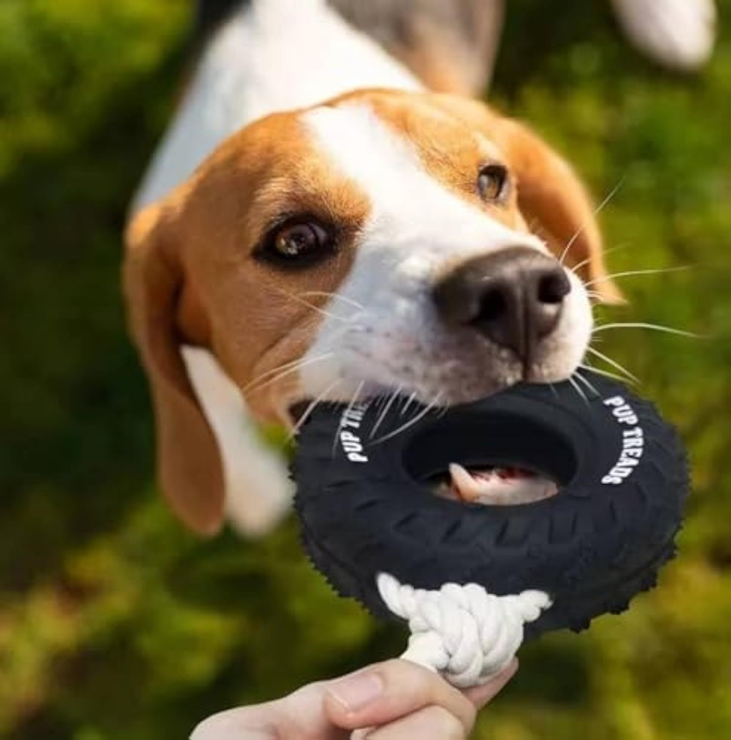 Mega Tough Interactive Treat-Dispensing Chew Toy – Built for Large & Aggressive Chewers