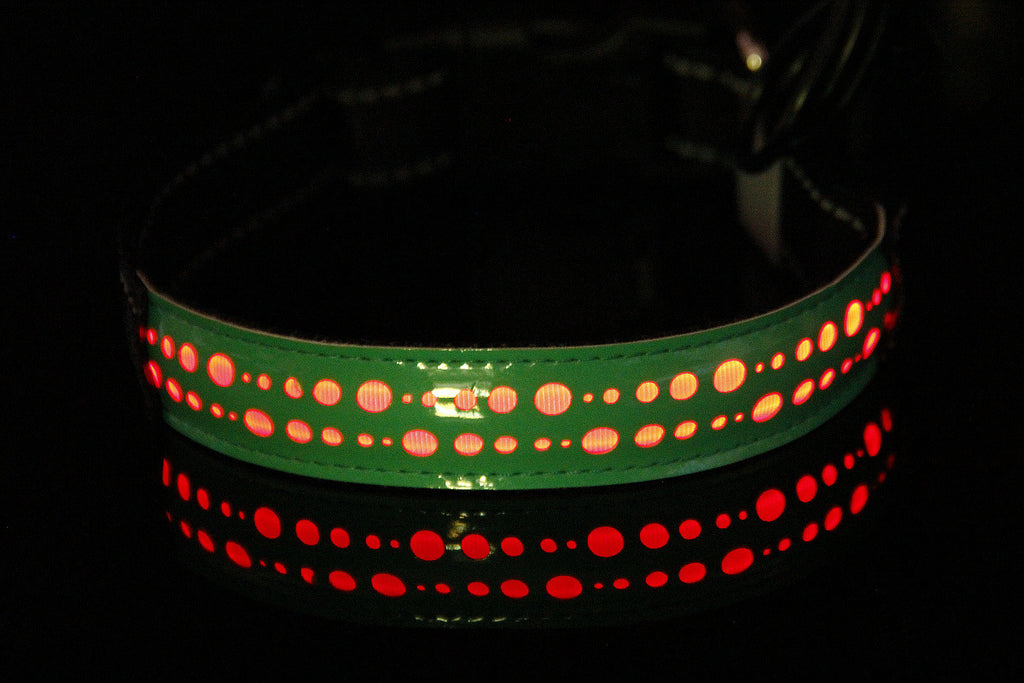 LED Luminous Leather Dog Collar – Engraved Style & Night Visibility