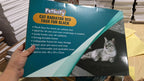 Elevated Cat Hammock Bed – Breathable Mesh, Removable Cover, Sturdy Frame
