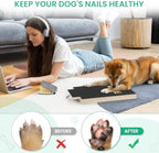 Dog Nail Scratch Board with Treat Box | Interactive Nail Trimming Toy for All Dog Sizes | Durable Wood Design