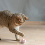 Automatic Moving Bouncing Rolling Ball – Smart Interactive Cat Toy for Indoor Cats