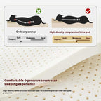 Four-Seasons Waterproof Kennel Mat – Tear-Resistant & Warm