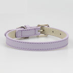 Leather Teddy Collar for Small & Medium Dogs – Soft, Stylish, Secure