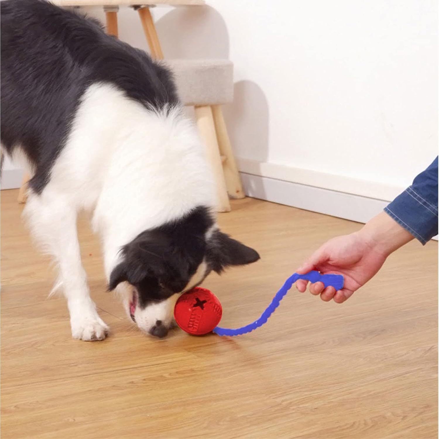 Puzzle Rope Snack & Play Toy – Interactive Feeding for Active Dogs