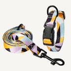 Comfort Fit Dog Collar & Leash Set – Stylish & Secure