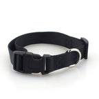 Everyday Plain Polyester Collar – Durable & Comfortable
