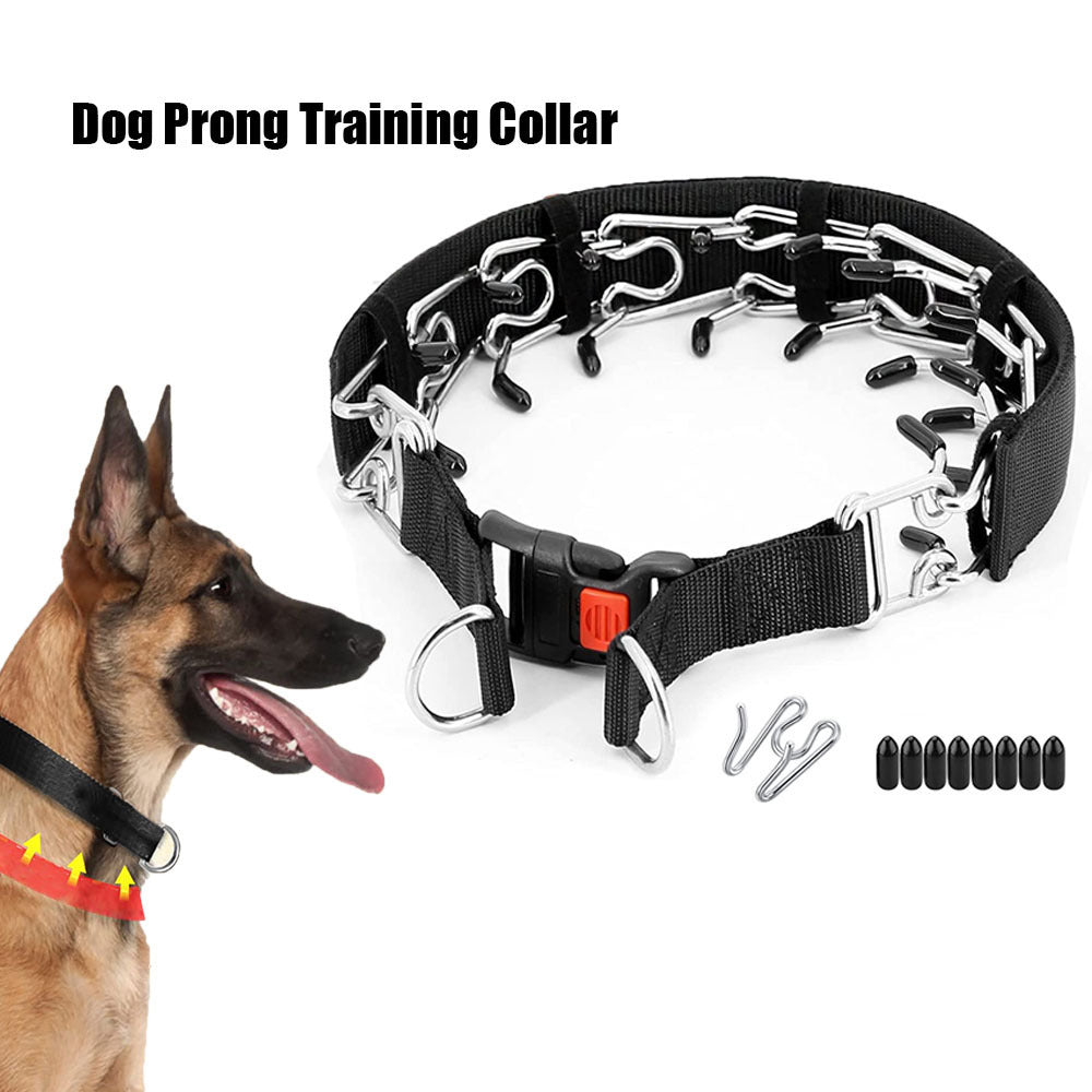 Heavy-Duty Spike Training Chain Collar — Strong Control & Bold Style