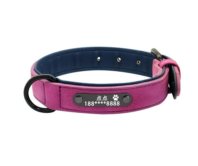 Traction Rope Lettered Dog Collar with Anti-Lost Tag – Stylish & Secure