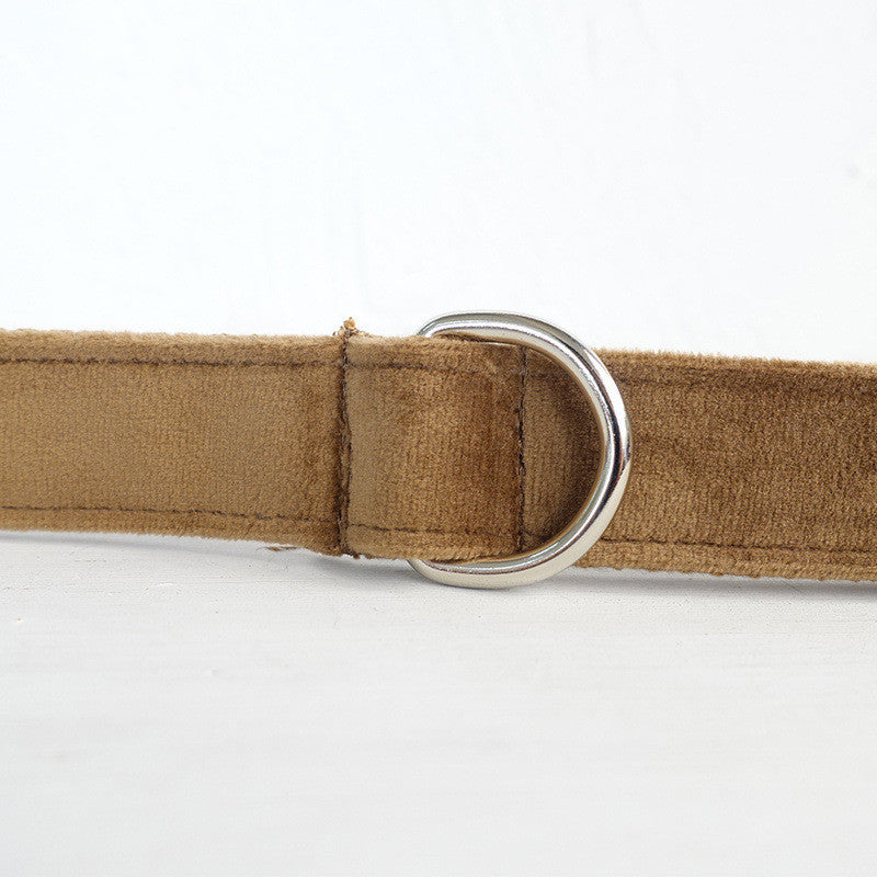 Ring-Style Dog Ring Leash – Stylish, Strong & Versatile