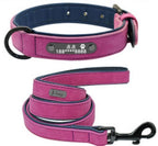 Traction Rope Lettered Dog Collar with Anti-Lost Tag – Stylish & Secure