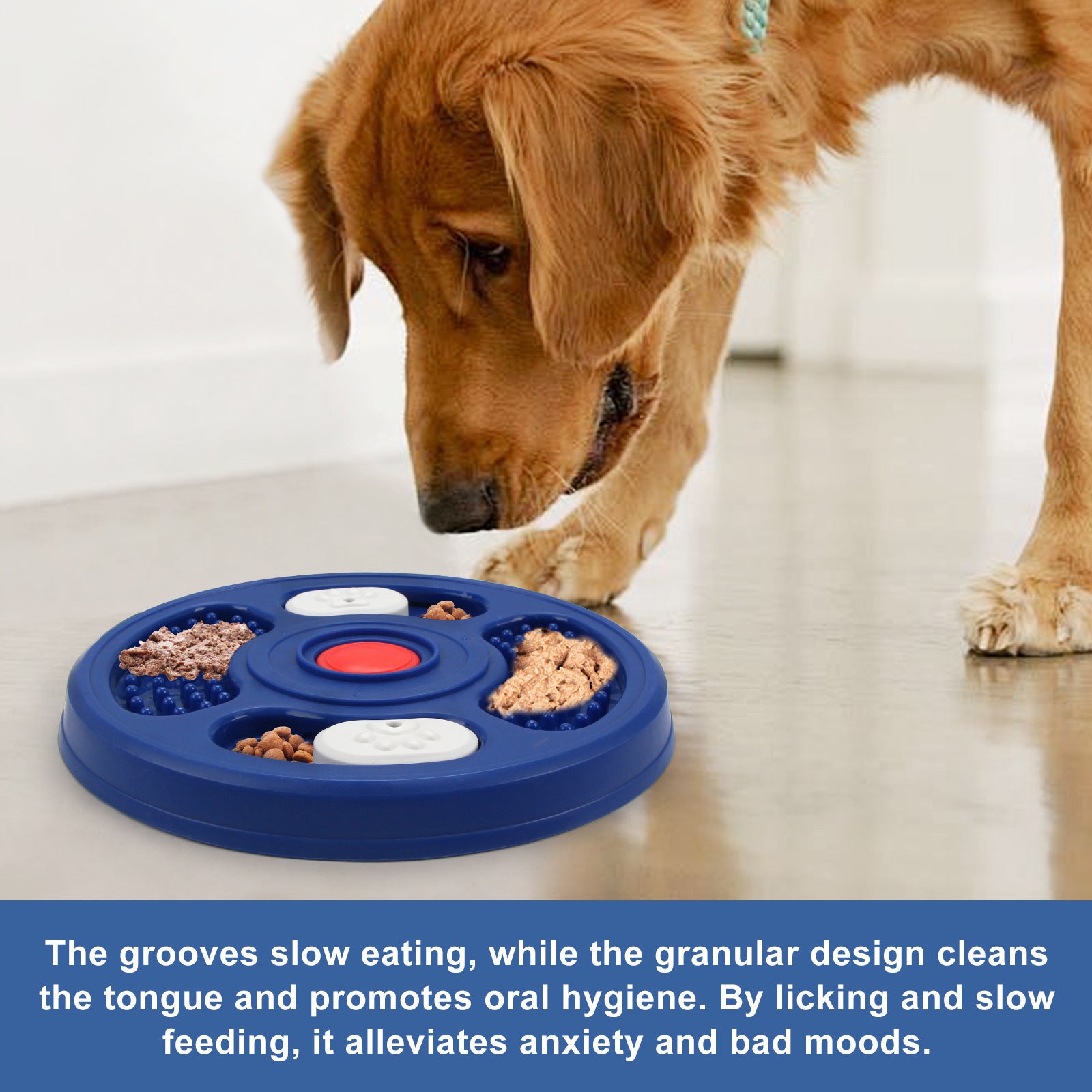 Lick & Learn Treat Plate – Calming Interactive Toy for Dogs