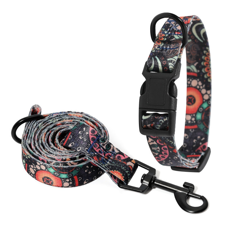 Comfort Fit Dog Collar & Leash Set – Stylish & Secure