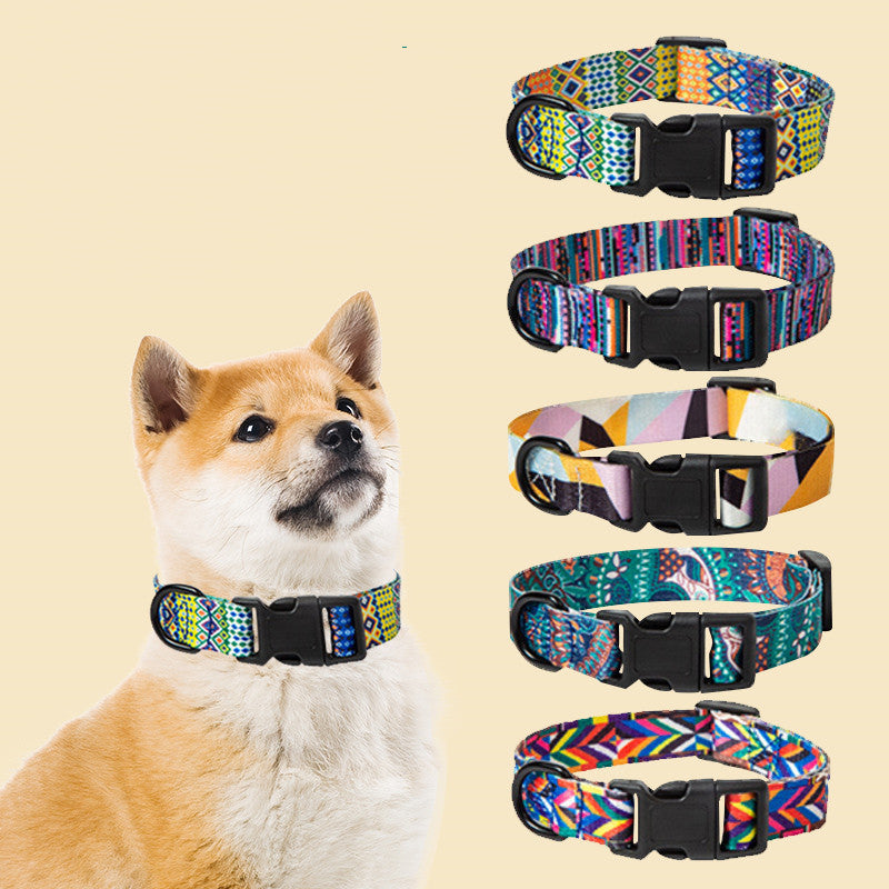 Comfort Fit Dog Collar & Leash Set – Stylish & Secure