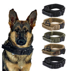 Quick-Release Metal Buckle Collar – Easy & Secure Walks