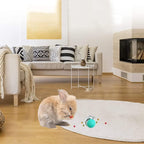 Interactive Treat Dispensing Toy – Dual Ball Design for Cats & Dogs, Adjustable Difficulty,