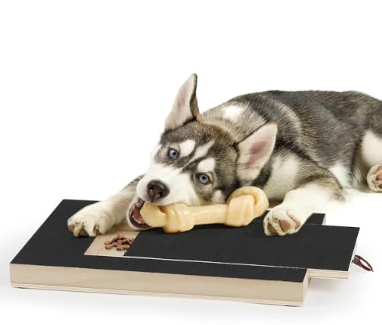 Dog Nail Scratch Board with Treat Box | Interactive Nail Trimming Toy for All Dog Sizes | Durable Wood Design