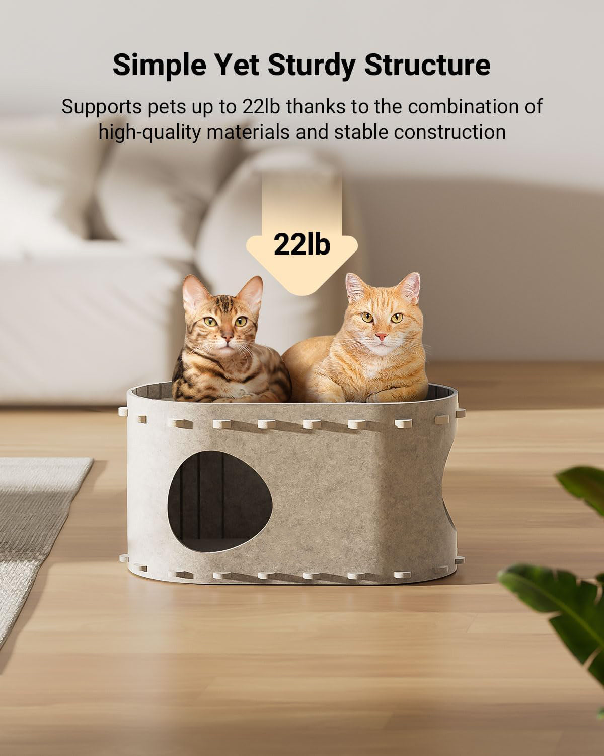 Foldable Enclosed Cat House Bed Cave – Scratch-Resistant Indoor Cat Tunnel