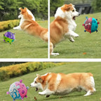 Interactive Dog Soccer Ball with Straps | Durable Water Toy for Medium Dogs | Indoor & Outdoor Play