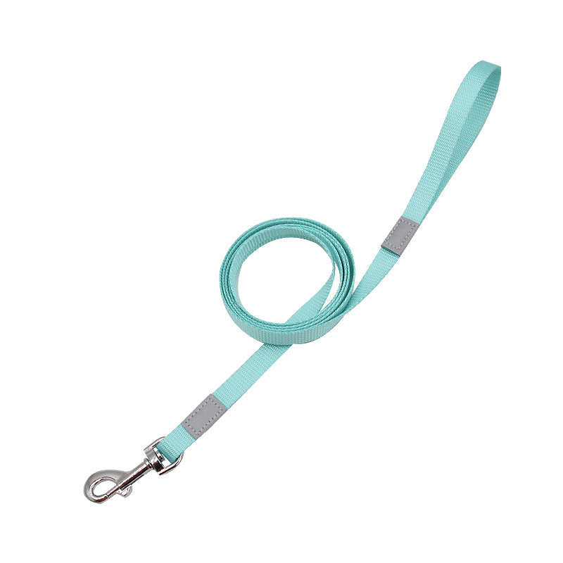 Color-Pop Reflective Dog Leash – Bright, Safe, Stylish