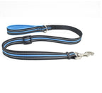 Adventure Flexi-Nylon Dog Leash – Freedom on Every Walk