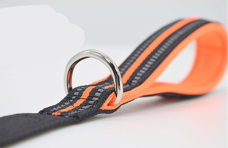 Adventure Flexi-Nylon Dog Leash – Freedom on Every Walk